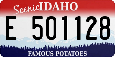 ID license plate E501128