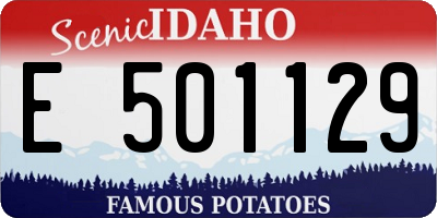 ID license plate E501129