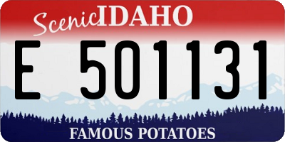 ID license plate E501131