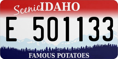 ID license plate E501133