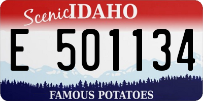 ID license plate E501134