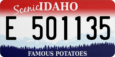 ID license plate E501135