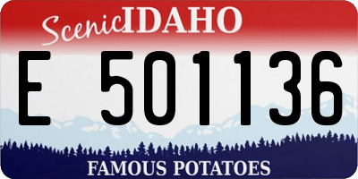 ID license plate E501136