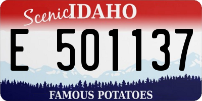ID license plate E501137
