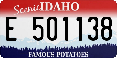 ID license plate E501138