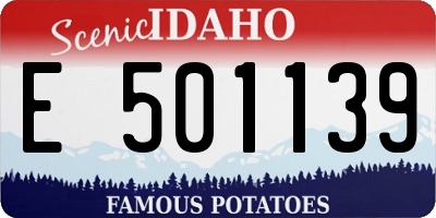 ID license plate E501139