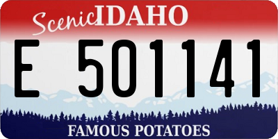 ID license plate E501141