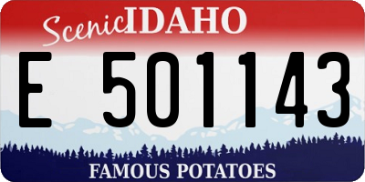 ID license plate E501143