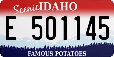 ID license plate E501145