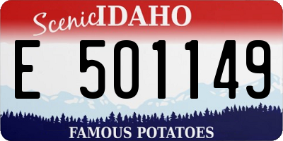 ID license plate E501149