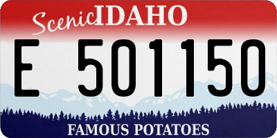 ID license plate E501150