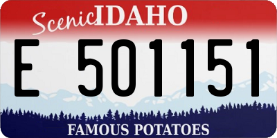 ID license plate E501151
