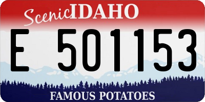 ID license plate E501153