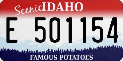 ID license plate E501154