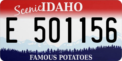 ID license plate E501156