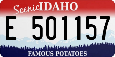 ID license plate E501157