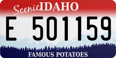 ID license plate E501159