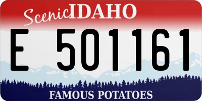ID license plate E501161