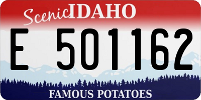 ID license plate E501162