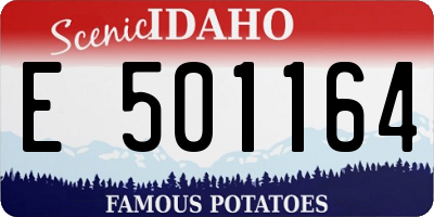 ID license plate E501164