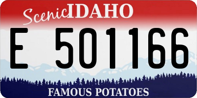 ID license plate E501166