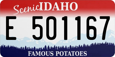 ID license plate E501167