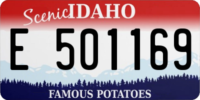 ID license plate E501169