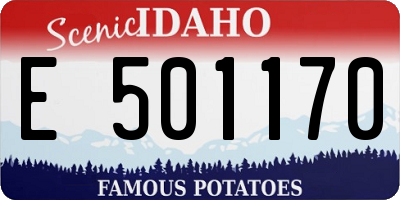 ID license plate E501170