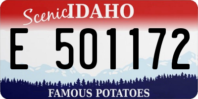 ID license plate E501172