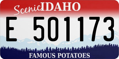ID license plate E501173