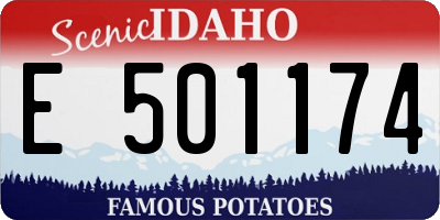 ID license plate E501174