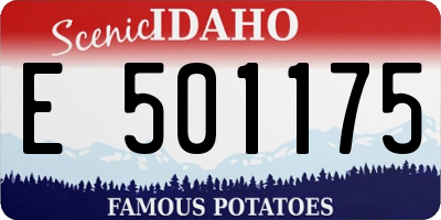ID license plate E501175