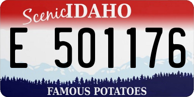 ID license plate E501176