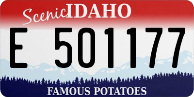 ID license plate E501177
