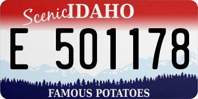 ID license plate E501178