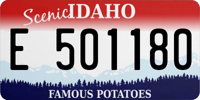 ID license plate E501180