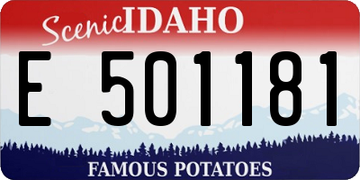 ID license plate E501181