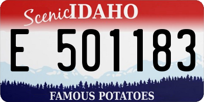 ID license plate E501183