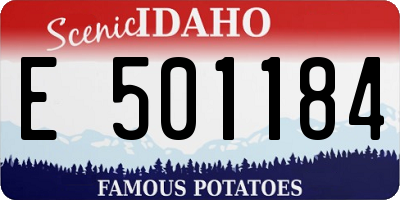 ID license plate E501184