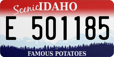 ID license plate E501185