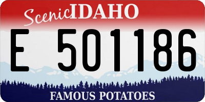 ID license plate E501186