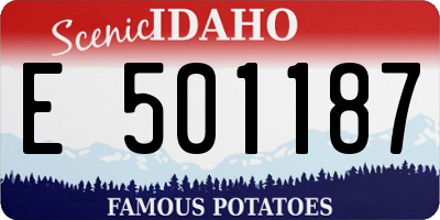 ID license plate E501187