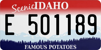 ID license plate E501189