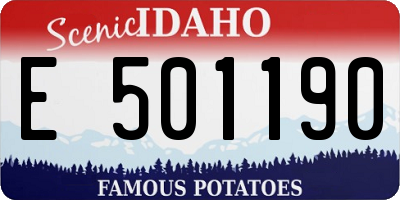 ID license plate E501190