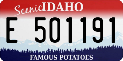 ID license plate E501191