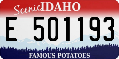 ID license plate E501193
