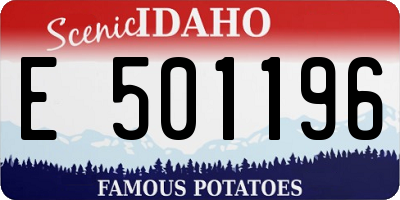 ID license plate E501196