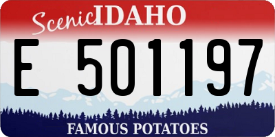 ID license plate E501197