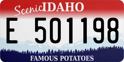 ID license plate E501198