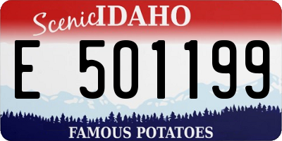 ID license plate E501199